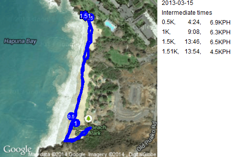 Map of March 15, 2013 run